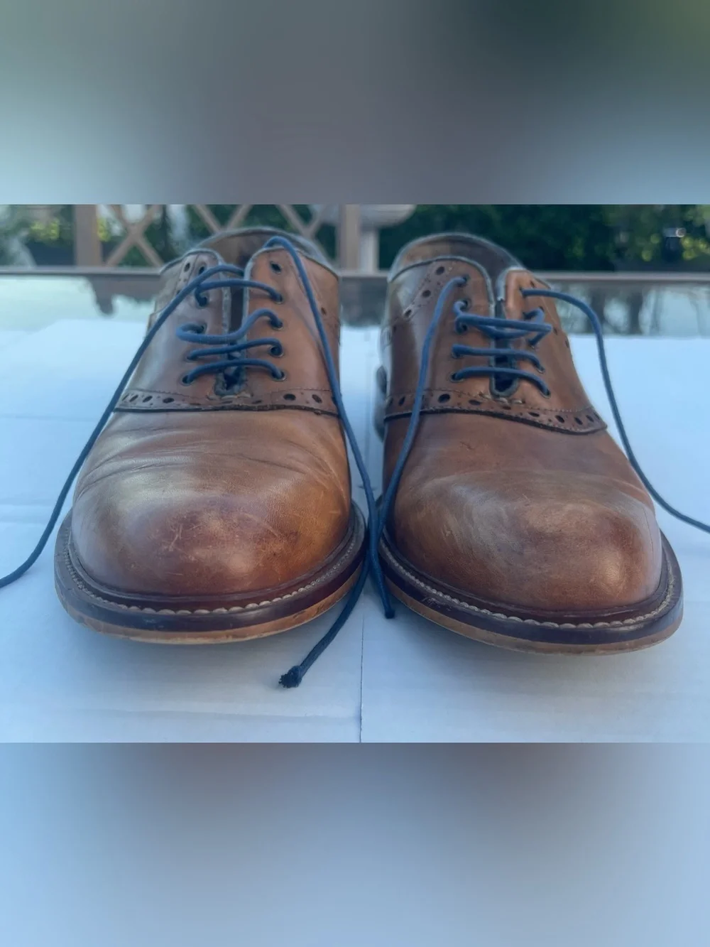 Men's Tan Leather Brogue Derbys with Blue Laces